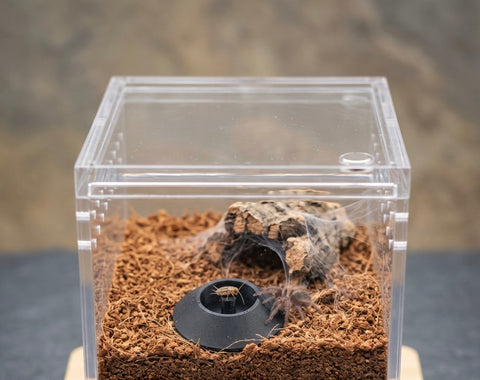 Micro Drip Bowl – Core Series | Spider Sling Water Dish