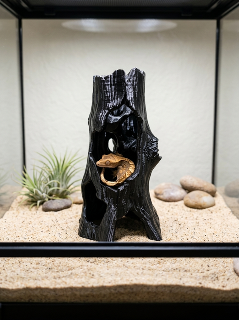 Canopy Spire – Canopy Series