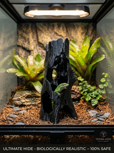 Canopy Spire – Canopy Series