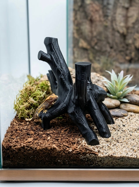 🌳 Root Core – Rooted Series