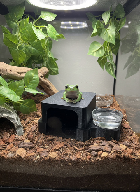 🪨 Terra Core Hide – Terra Series