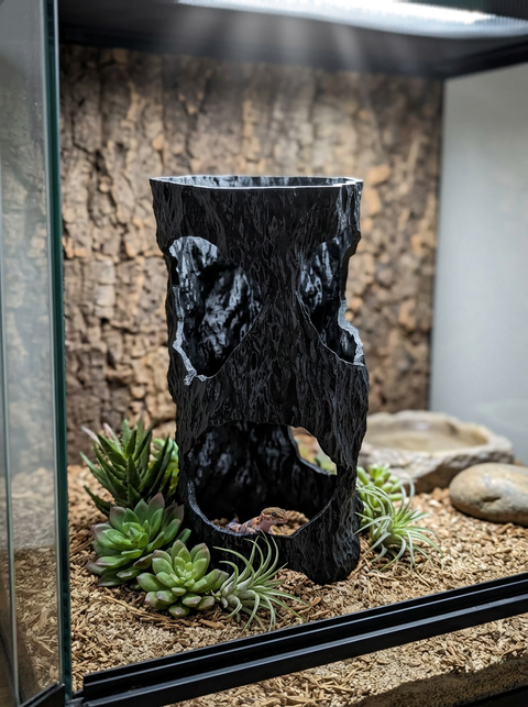 🌿 Canopy Tower – Canopy Series