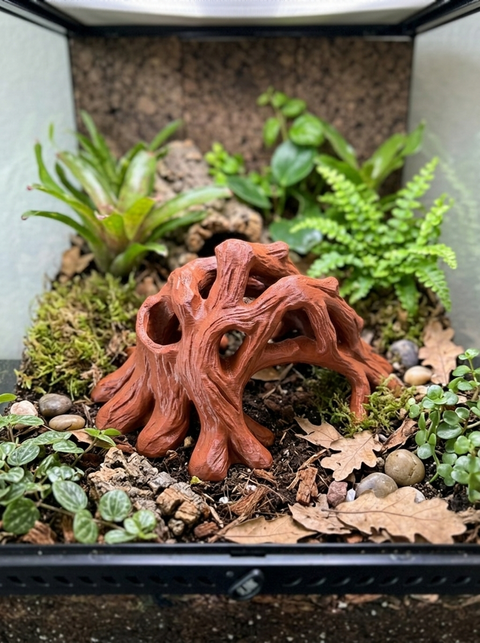 Root Arch Hide – Rooted Series