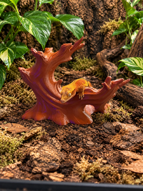 Driftwood Crest | 3D Printed Crested Gecko Climbing Branch