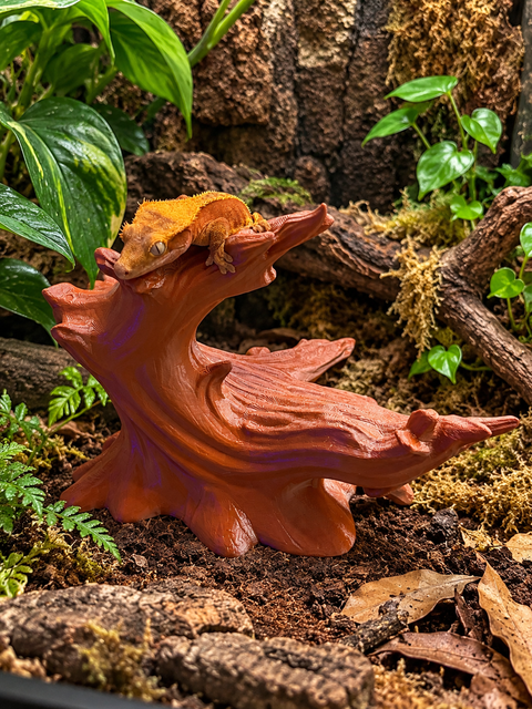 Driftwood Crest | 3D Printed Crested Gecko Climbing Branch