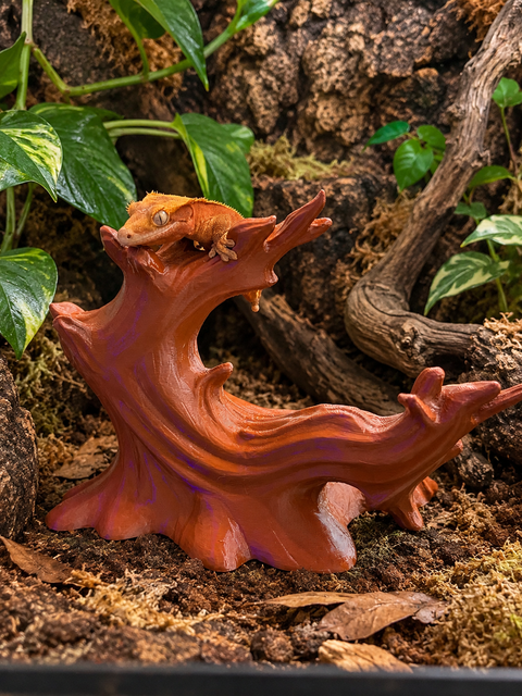 Driftwood Crest | 3D Printed Crested Gecko Climbing Branch