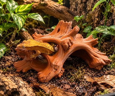 Hollowroot Hide | 3D Printed Gecko Hide